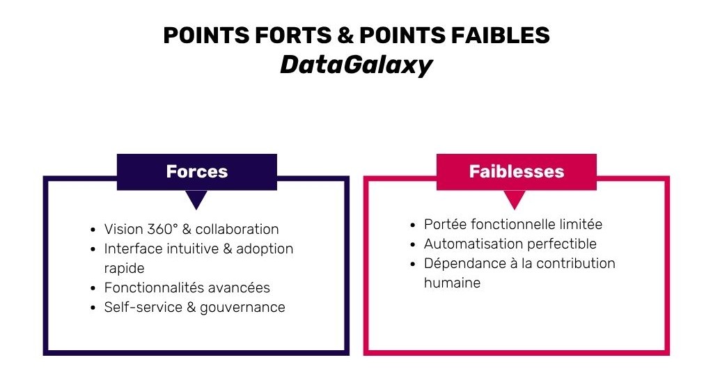 Points forts et points faibles -datagalaxy